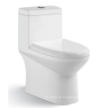 Aquakubisch moderne Bodenmontage zweisteuelhafte Dual -Flush -Keramik -Toilette